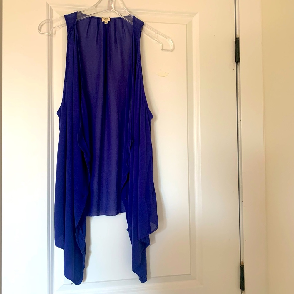 Wilfred Sheer Raw Silk Vest